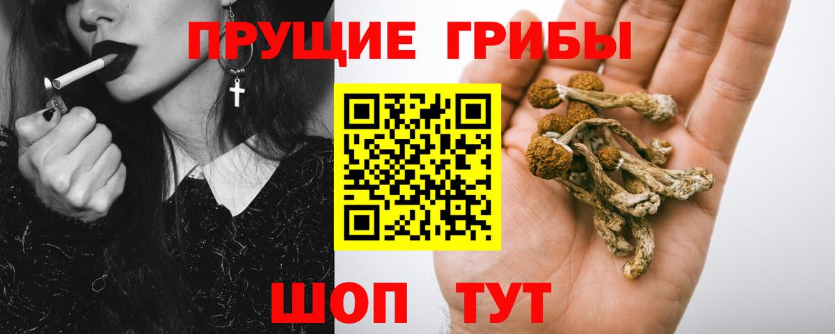 Кунгур  Галлюциногенные грибы GOLDEN TEACHER  Вход с VPN 